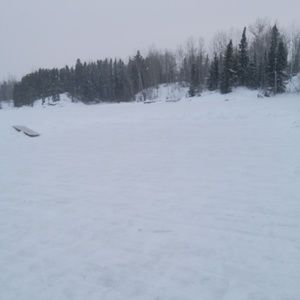 Meet your Posher, Kaylee